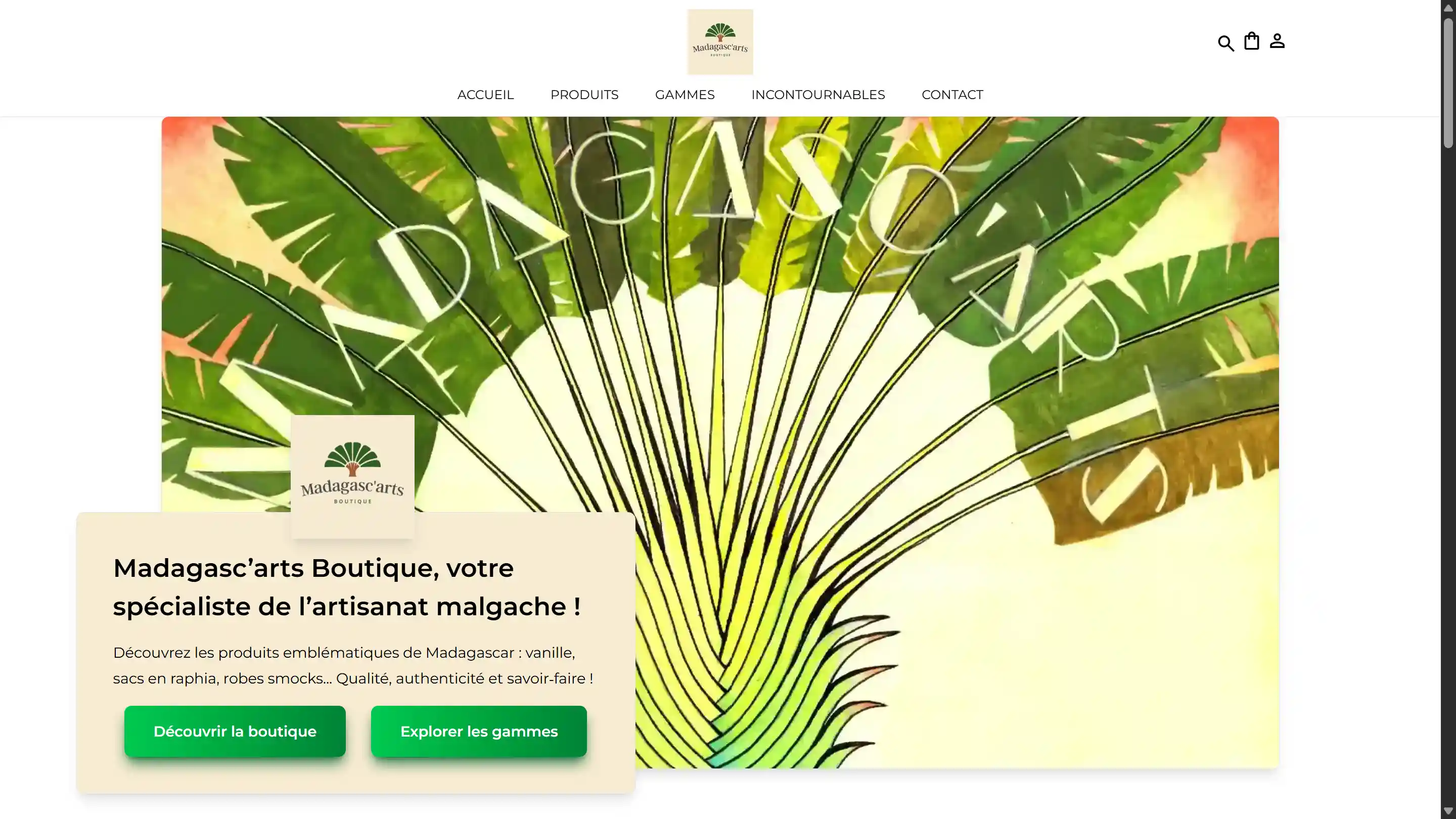 capture accueil site Madagasc'arts Boutique